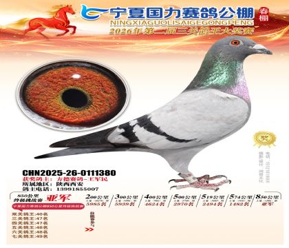 宁夏国力850公里终极挑战赛亚军