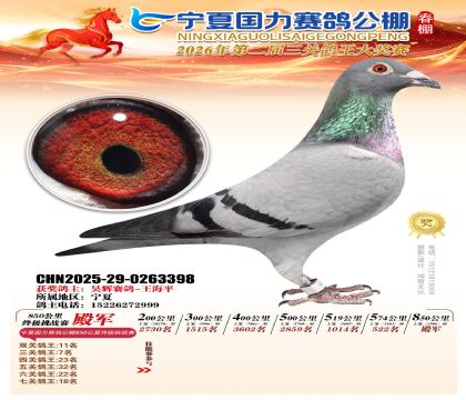 宁夏国力850公里终极挑战赛4名