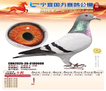 宁夏国力850公里终极挑战赛5名