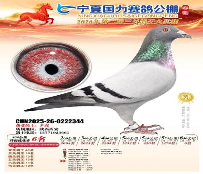 宁夏国力850公里终极挑战赛6名