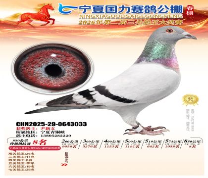 宁夏国力850公里终极挑战赛8名