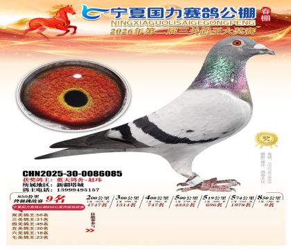 宁夏国力850公里终极挑战赛9名