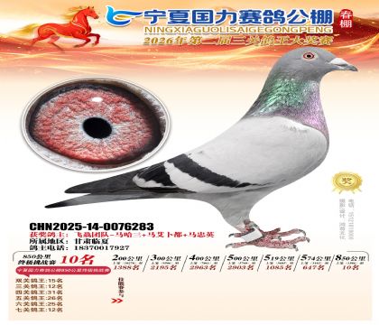 宁夏国力850公里终极挑战赛10名