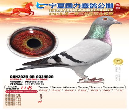 宁夏国力850公里终极挑战赛11名