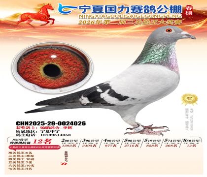 宁夏国力850公里终极挑战赛12名