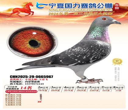 宁夏国力850公里终极挑战赛14名