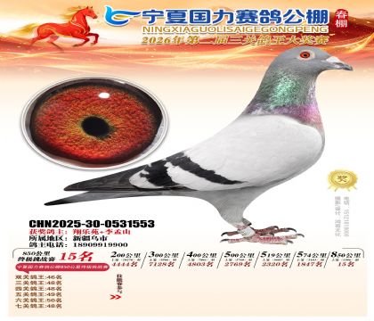 宁夏国力850公里终极挑战赛15名