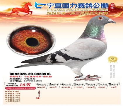 宁夏国力850公里终极挑战赛16名