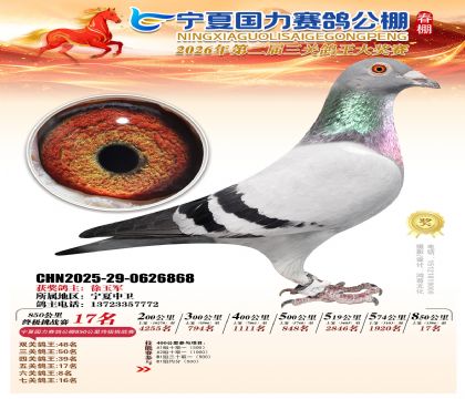 宁夏国力850公里终极挑战赛17名