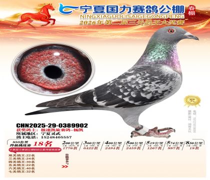 宁夏国力850公里终极挑战赛18名