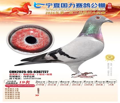 宁夏国力850公里终极挑战赛19名