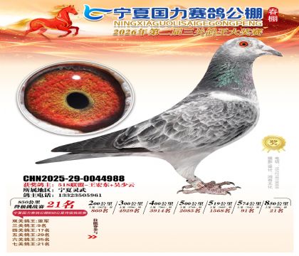 宁夏国力850公里终极挑战赛21名