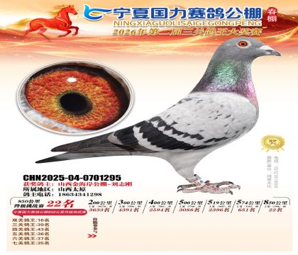 宁夏国力850公里终极挑战赛22名