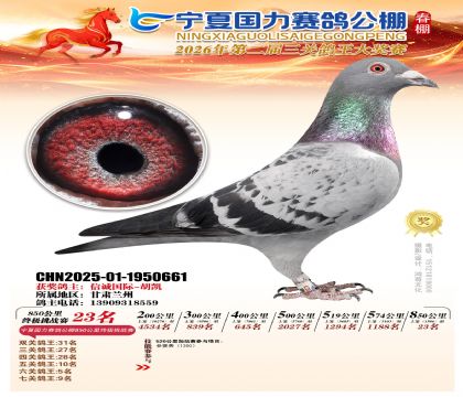 宁夏国力850公里终极挑战赛23名