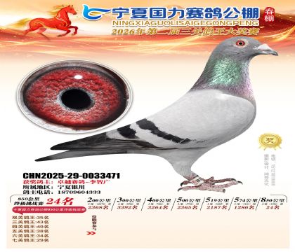 宁夏国力850公里终极挑战赛24名