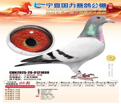 宁夏国力850公里终极挑战赛25名