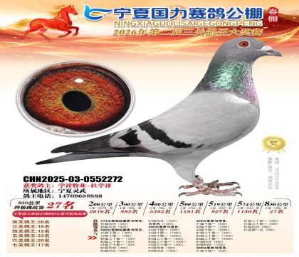 宁夏国力850公里终极挑战赛27名