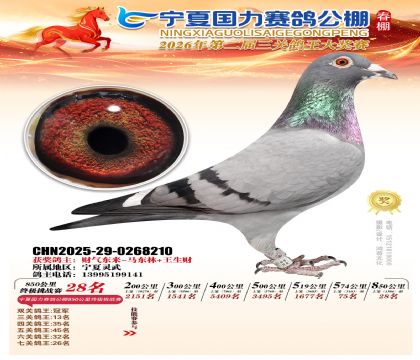 宁夏国力850公里终极挑战赛28名