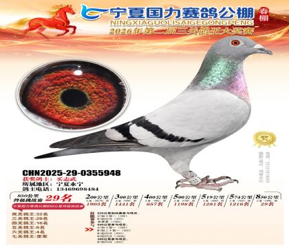 宁夏国力850公里终极挑战赛29名