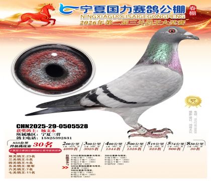 宁夏国力850公里终极挑战赛30名