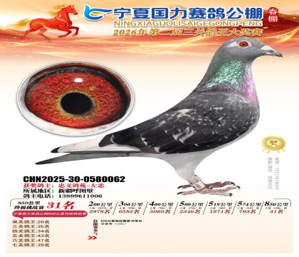 宁夏国力850公里终极挑战赛31名