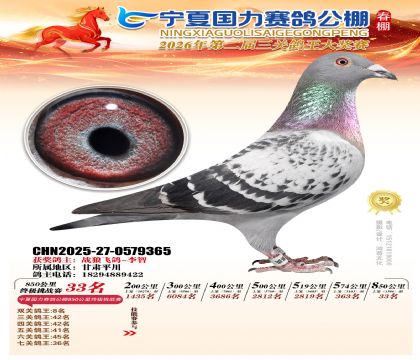 宁夏国力850公里终极挑战赛33名