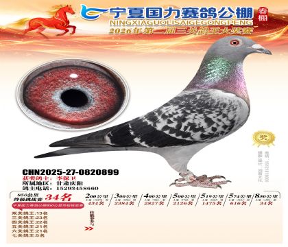 宁夏国力850公里终极挑战赛34名