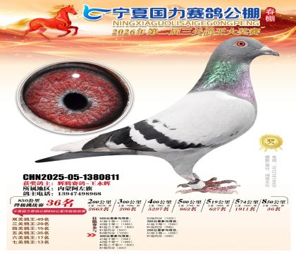 宁夏国力850公里终极挑战赛36名