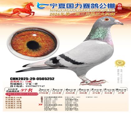 宁夏国力850公里终极挑战赛37名