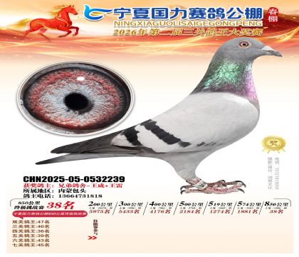 宁夏国力850公里终极挑战赛38名