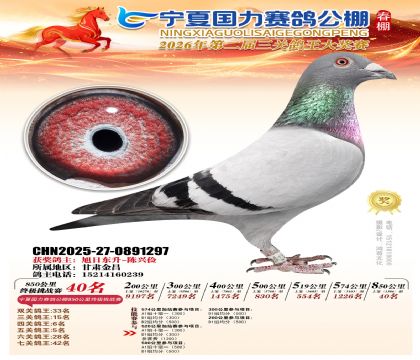 宁夏国力850公里终极挑战赛40名