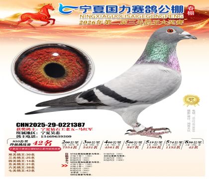 宁夏国力850公里终极挑战赛42名