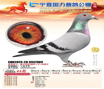 宁夏国力850公里终极挑战赛44名