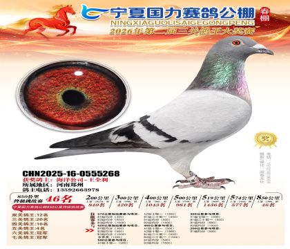 宁夏国力850公里终极挑战赛46名