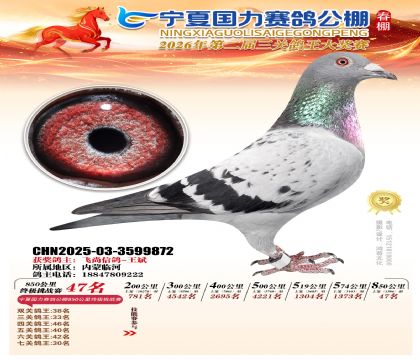 宁夏国力850公里终极挑战赛47名