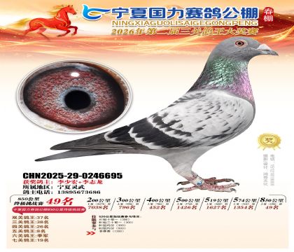 宁夏国力850公里终极挑战赛49名