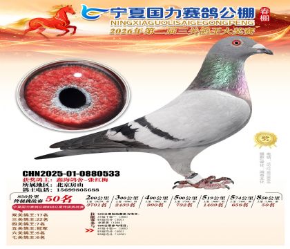 宁夏国力850公里终极挑战赛50名