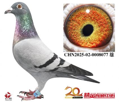 ������������098����ֱ��