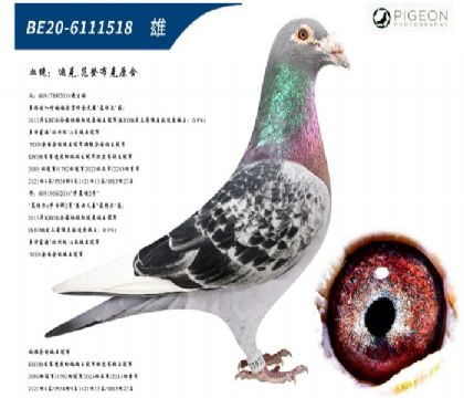 �Ͽ˷��ǲ��˺ú��ֱ������ض�ֱŮ