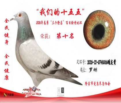 10���޸�2026-22-0748066�ƻһ�