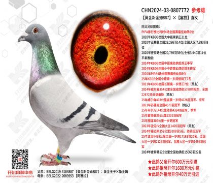 �ƽ��½�ķ887������ֱŮ