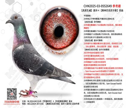 ��������ֱ�������ƥ�����˹��Ѫ