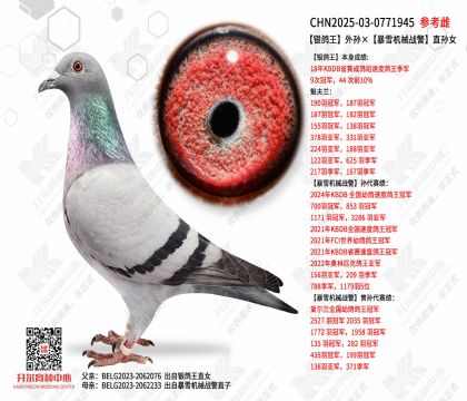 �������������ѩ��еս��ֱ��Ů