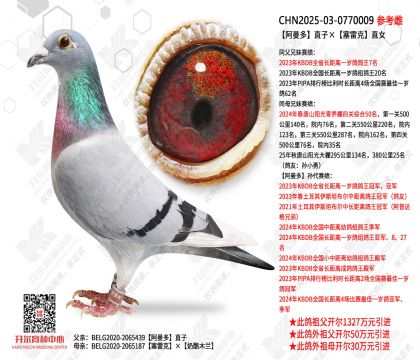 ������ֱ�ӡ����׿�ֱŮ