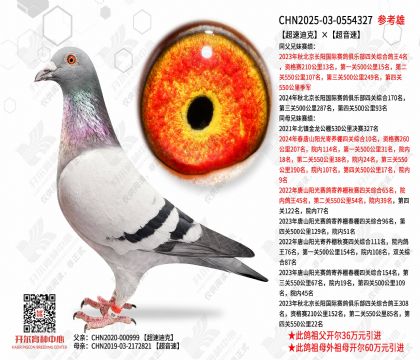 ���ٵϿˡ�������