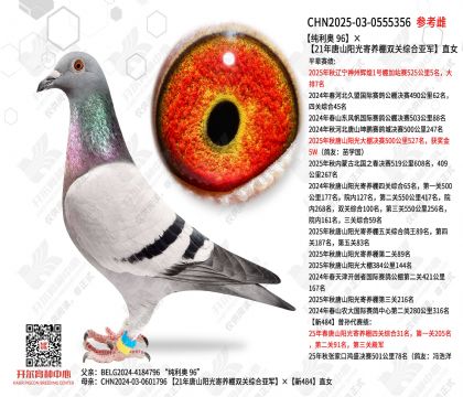 ������ 96��21����ɽ���������˫���ۺ��Ǿ�ֱŮ