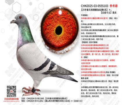 25�괺����ͭ����վ��6�����׽�ʿֱŮ