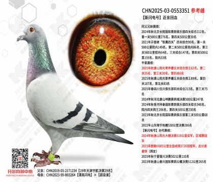 ������Ž��׻�Ѫ