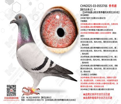 ˹�ʹ���ʿ��24������ɽ����������Ĺظ���203��