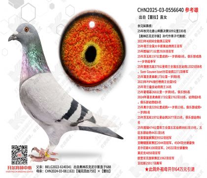 ��������ֱŮ